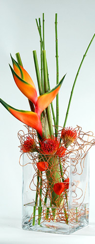 The Flower Company Blumen