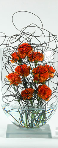 The Flower Company Kontakt
