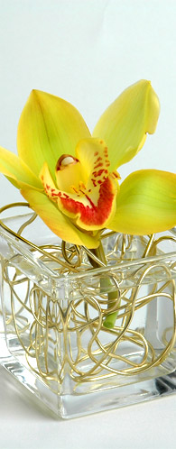 The Flower Company Referenzen